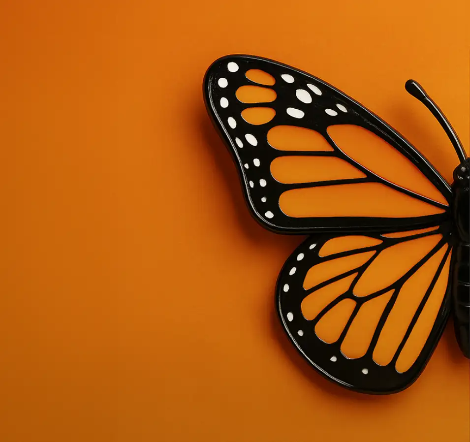 Hard Enamel Lapel Pin